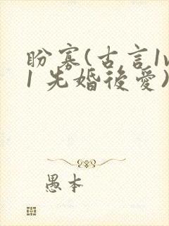 盼寡(古言1v1 先婚后爱)