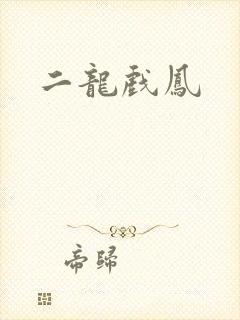 二龙戏凤