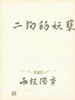 二狗的妖孽人生