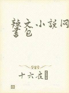 辣文小说网第二书包