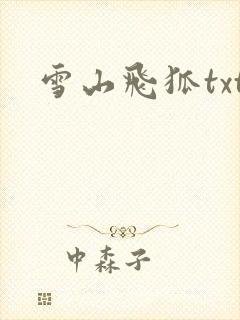 雪山飞狐txt