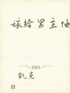 嫁给男主他爹