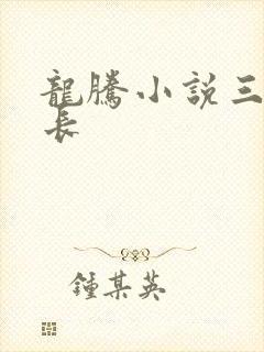 龙腾小说三宝局长