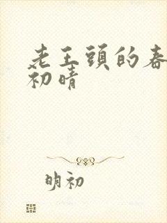 老王头的春天林初晴