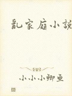 乱家庭小说