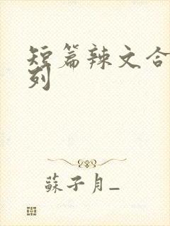 短篇辣文合集系列