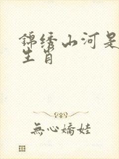 锦绣山河是什么生肖