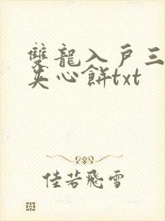 双龙入户三人行夹心饼txt