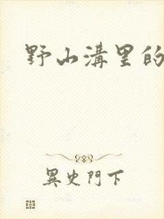 野山沟里的村庄