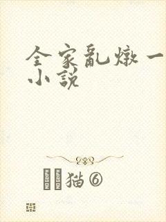 全家乱炖一锅烩小说