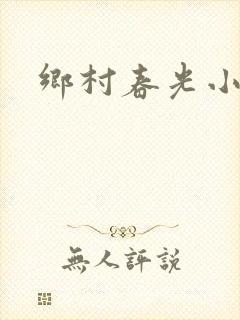 乡村春光小说