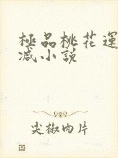 极品桃花运未删减小说