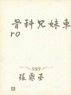 骨科兄妹车多pro