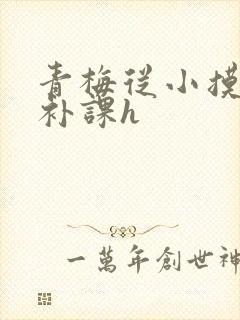 青梅从小摸到大补课h