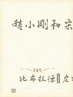 赵小刚和宋雨晴