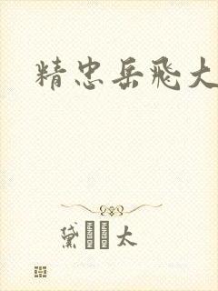 精忠岳飞大结局