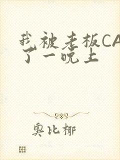 我被老板CAO了一晚上