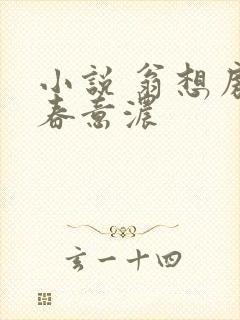 小说 翁想房中春意浓