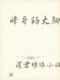 峰哥的大脚