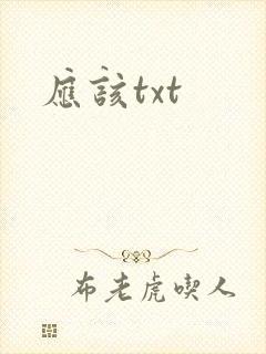应该txt