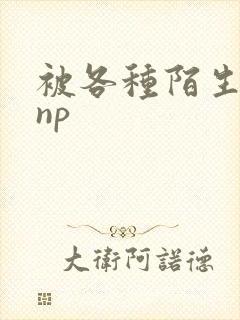 被各种陌生人 np