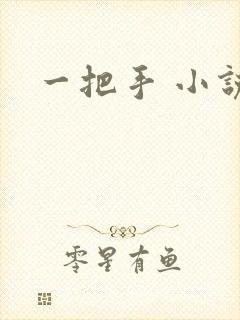 一把手 小说