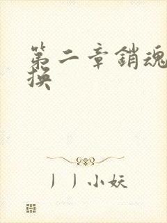 第二章销魂的交换