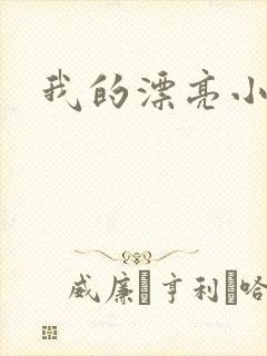 我的漂亮小后妈