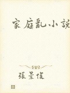 家庭乱小说