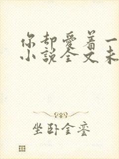 你却爱着一个他小说全文未删减免费