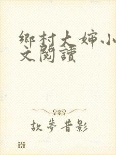 乡村大婶小说全文阅读