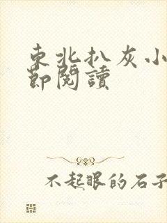 东北扒灰小说分节阅读