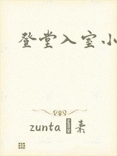 登堂入室小说