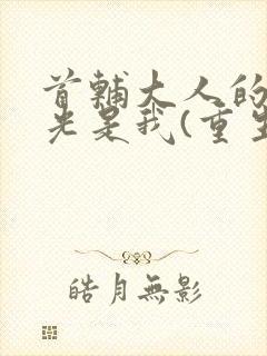 首辅大人的白月光是我(重生)