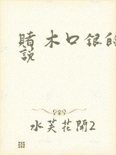赌 木口银的小说
