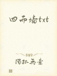 四面墙txt