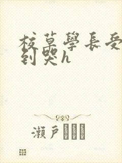 校草学长受被做到哭h