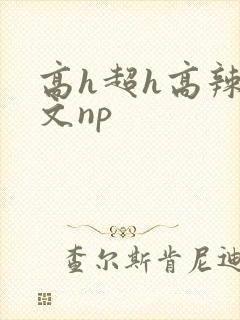 高h超h高辣h文np