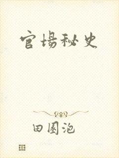 官场秘史