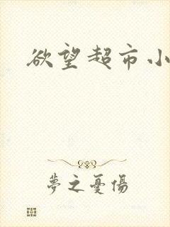 欲望超市小说
