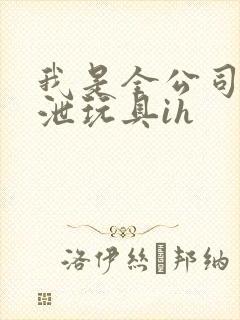 我是全公司的发泄玩具ih