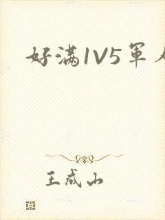 好满1V5军人
