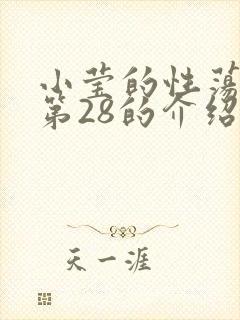 小莹的性荡生活第28的介绍