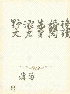 野涩先婚后爱全文免费阅读笔趣阁