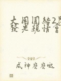 大团圆结2闪闪发光亲情会