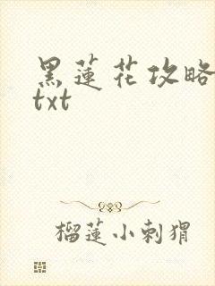 黑莲花攻略手册txt