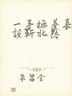 一手抚养长大小说靳北然