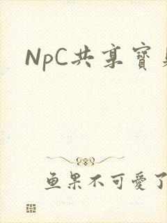 NpC共享宝贝