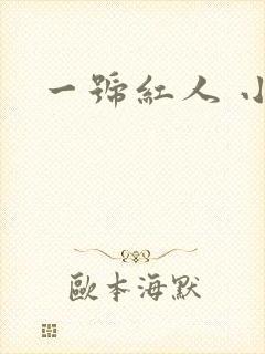 一号红人 小说