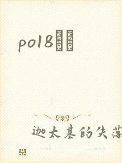 po18С˵